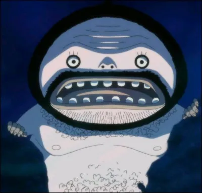 Qu'est-ce que le Wadatsumi ?