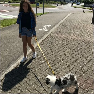 Comment s'appelle sa chienne ?