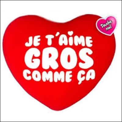 Comment dit-on "je t'aime" en yéniche ?