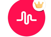 Quiz Musical.ly