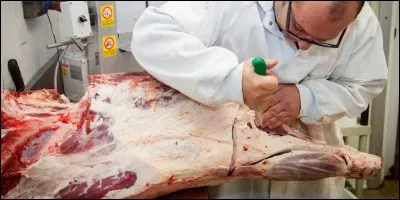 Retrouvez le métier !