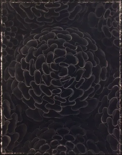 Quelle est la musique de la fin du monde ?