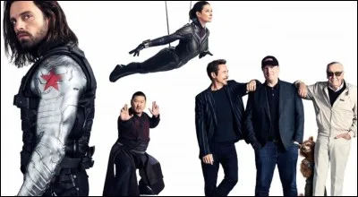 Combien d'acteurs Marvel compte-t-il au casting ?
(sans compter les séries) (2017)