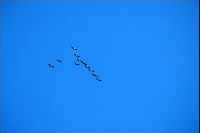 Quelle est cette couleur ?