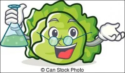 Néron est une salade :