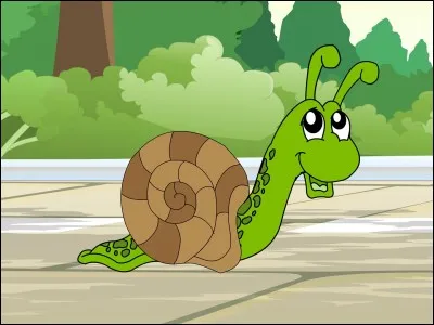 Lollo Rosa est une salade :