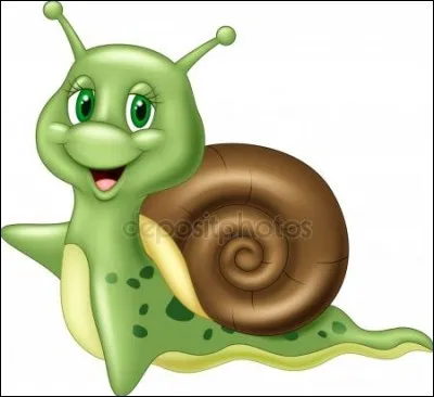 Carola est une salade :