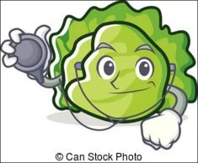 Sucrine est une salade :