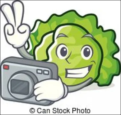 Trévise est une salade