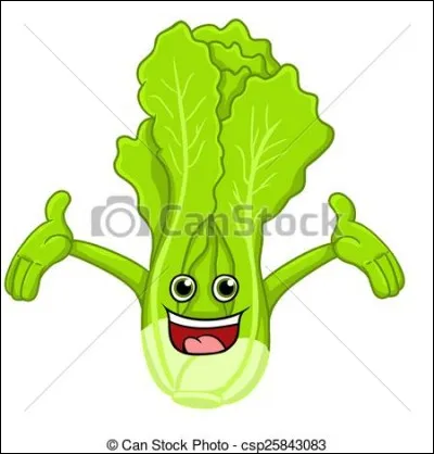 Margherita est une salade :