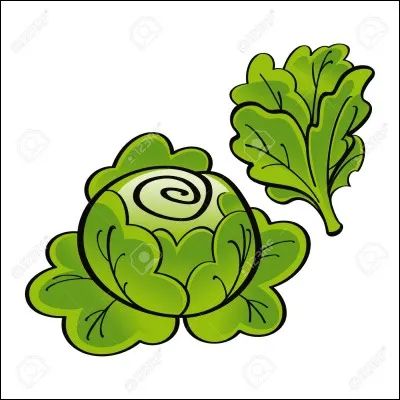 Romaine est une salade