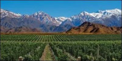 Mendoza est une ville de la région de Cuyo et le cur de la région viticole de l'/du :