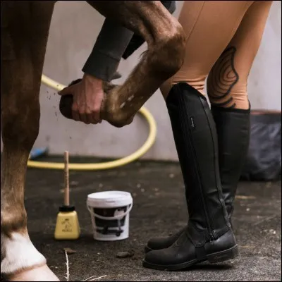 À quoi sert le pansage ? (Trois réponses possibles)