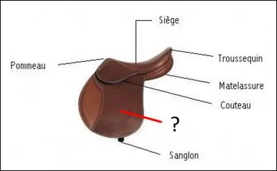 Quelle est cette partie de la selle ?