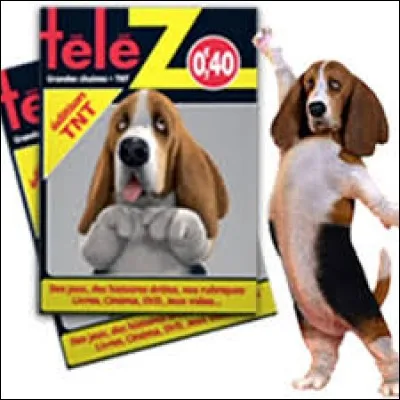 Quelle est la race du chien mascotte du journal télé Z ?