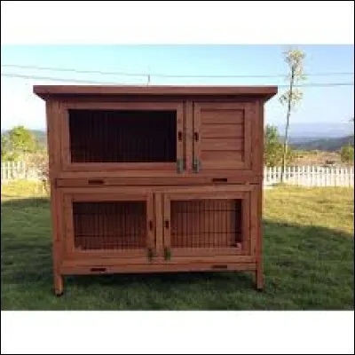 Quel animal vit dans un clapier ?