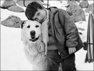 Quel animal est Belle dans la série télévisée "Belle et Sébastien" ?