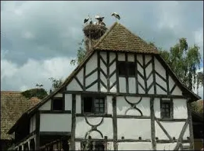 Quel animal est un symbole de l'Alsace ?