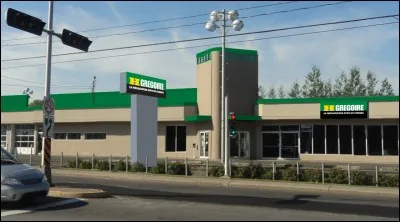 Dans quelle ville habitait le prophète Jonas selon l'Ancien Testament ?