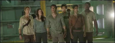 Des hommes arrivent et emmènent les survivants avec eux. Par quel moyen de transport partent-ils ?