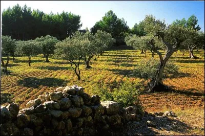 Complétez cette nouvelle de Guy de Maupassant : "Le Champ :
