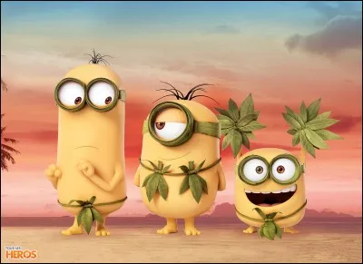 Aimes-tu la compagnie ?