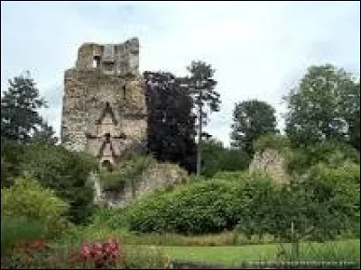 Quelle est cette jolie ville située sur l'ancienne zone frontalière qui séparait le Duché de Bretagne du royaume de France ?