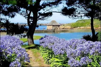 Quelle est cette île magnifique ?