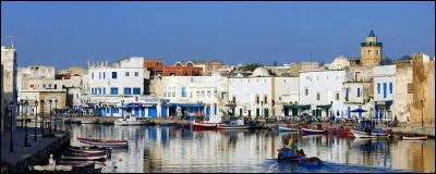 Je vous fais visiter Bizerte. Dans quel pays cette ville se trouve-t-elle ?