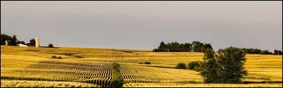 Cochez la ville étant la capitale de Iowa.