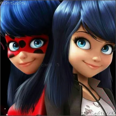 Quelle sorte de fleur se trouve sur le tee-shirt, le sac, la chaise,... de Marinette ?