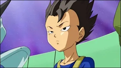 Que promet Vegeta à Cabba s'il gagne le tournoi ?