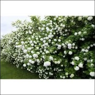 Comment l'utilise-t-on ?