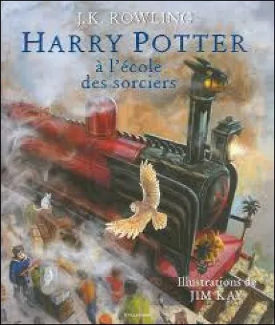 Peut-on trouver des albums au CDI ?