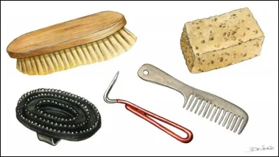 À quoi sert le pansage ?