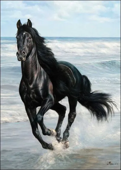 Combien d'allures a ton poney ?