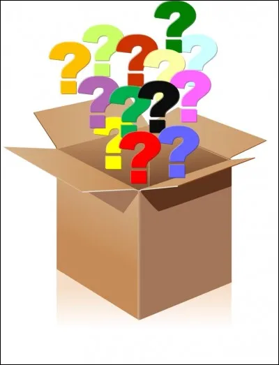 Lequel de ces adjectifs a un masculin ?