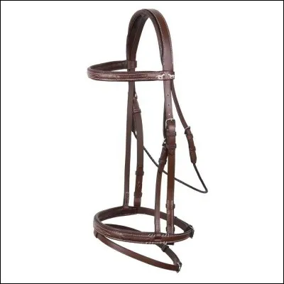 Comment s'appelle le bout de fer que l'on met dans la bouche du cheval ?