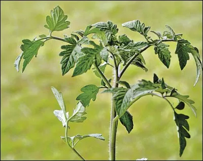 Un jour, devant tout la monde, une fille m'a giflé, je suis devenu ...