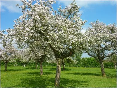 Mais il faut dire que j'étais ...