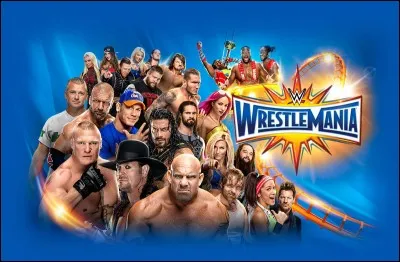 Quelle équipe a fait son retour à WrestleMania 33 ?