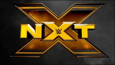 Qui a été le premier champion NXT ?