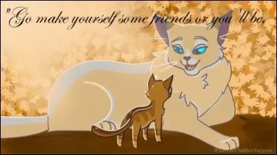 Ombre d'Érable veut demander l'asile dans le clan de son compagnon mais...