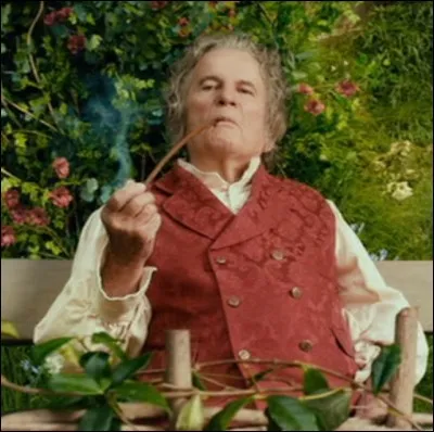 Quel est le nom de famille de Bilbon ? (plusieurs réponses)