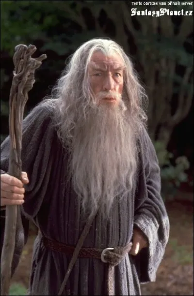 De quelle couleur est le chapeau de Gandalf le Gris ?