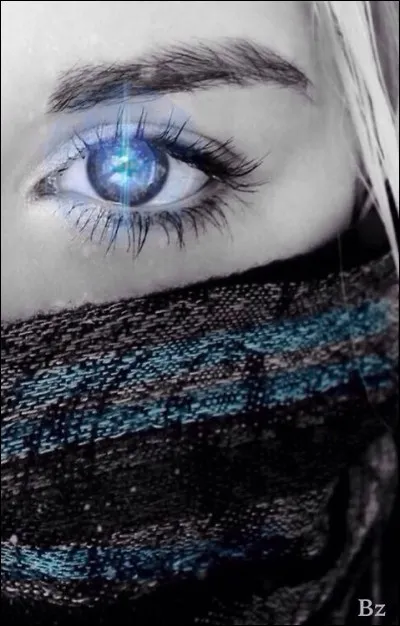 Qui a écrit "Histoire de l'il" ?