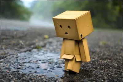 Quand tu vois quelqu'un en larmes, que fais-tu ?