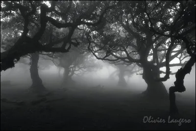 C'est la nuit. Il fait sombre, tu es seul.