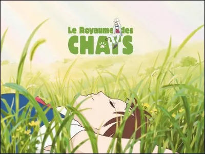 À la fin, que perd le roi ?