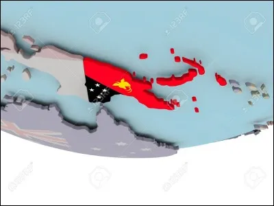 Le drapeau de la Papouasie-Nouvelle-Guinée est composé de :